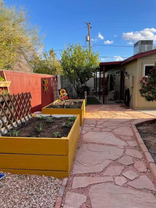 Encanto Cactus Flower Casita Phoenix Eksteriør bilde